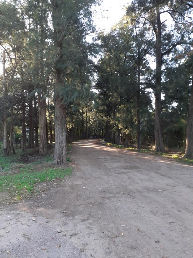 Апартаменты Parque Leloir, Ituzaingo Вилья-Лелоир Экстерьер фото